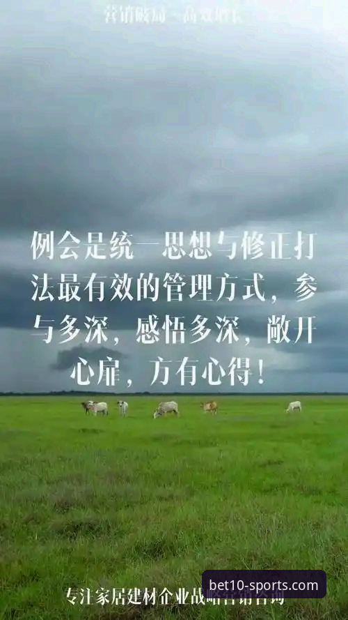 资深用户深度体验十博体育平台的实战心得：从下载到流畅使用的完整指南